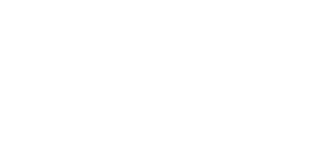 KONESS Connectivity